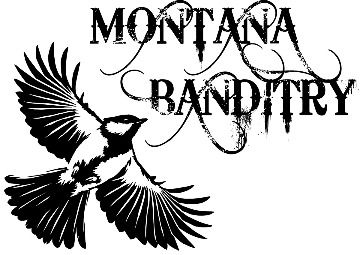 Montana Banditry OG Gear Company sonic-riders-zero-gravity-extreme-gear-money-crisis-youtube