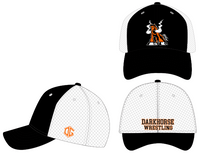 Darkhorse Flex Fit Hat